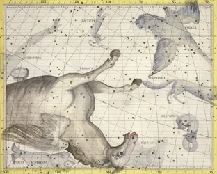 Constellation of Pegasus, Plate 25 from 